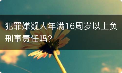 犯罪嫌疑人年满16周岁以上负刑事责任吗?