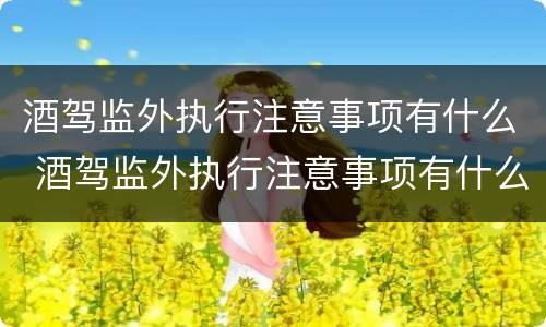酒驾监外执行注意事项有什么 酒驾监外执行注意事项有什么影响