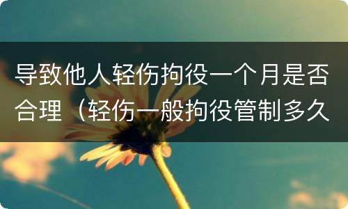 导致他人轻伤拘役一个月是否合理（轻伤一般拘役管制多久）