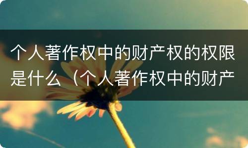 个人著作权中的财产权的权限是什么（个人著作权中的财产权的权限是什么意思）