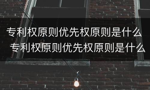 专利权原则优先权原则是什么 专利权原则优先权原则是什么意思