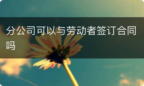 分公司可以与劳动者签订合同吗