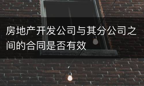 房地产开发公司与其分公司之间的合同是否有效
