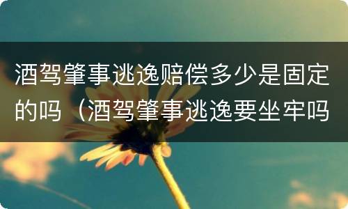 酒驾肇事逃逸赔偿多少是固定的吗（酒驾肇事逃逸要坐牢吗）