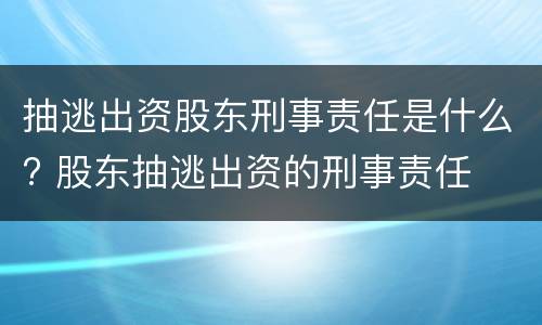 抽逃出资股东刑事责任是什么? 股东抽逃出资的刑事责任