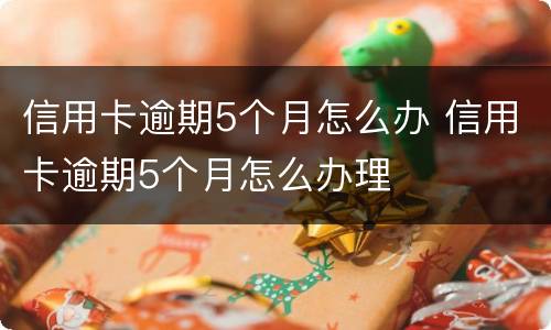 信用卡逾期5个月怎么办 信用卡逾期5个月怎么办理
