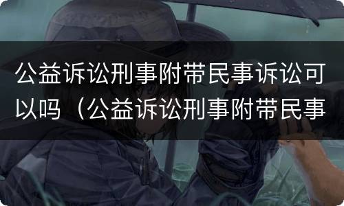 公益诉讼刑事附带民事诉讼可以吗（公益诉讼刑事附带民事起诉书）