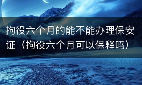 拘役六个月的能不能办理保安证（拘役六个月可以保释吗）
