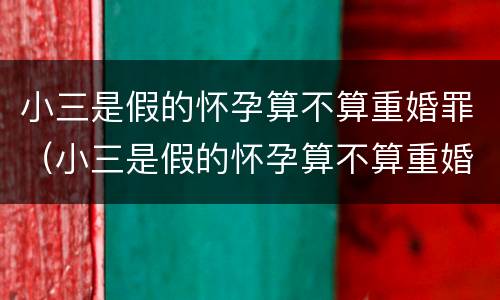 小三是假的怀孕算不算重婚罪（小三是假的怀孕算不算重婚罪呀）