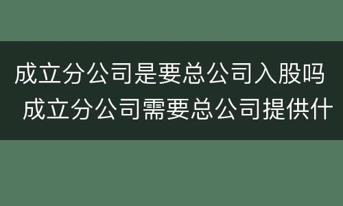 成立分公司是要总公司入股吗 成立分公司需要总公司提供什么