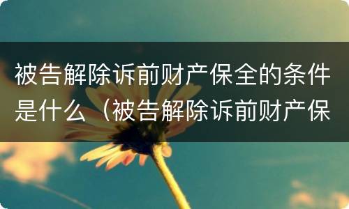 被告解除诉前财产保全的条件是什么（被告解除诉前财产保全的条件是什么）