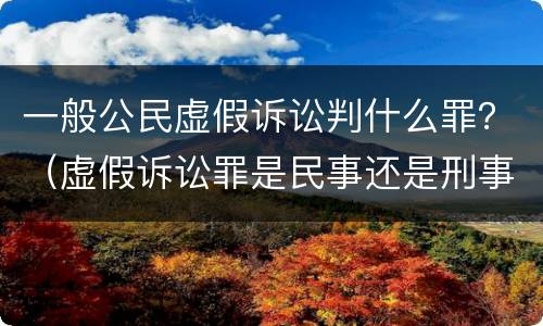 一般公民虚假诉讼判什么罪？（虚假诉讼罪是民事还是刑事）