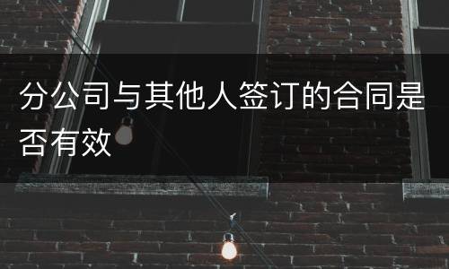 分公司与其他人签订的合同是否有效