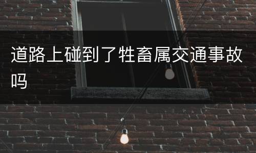 道路上碰到了牲畜属交通事故吗