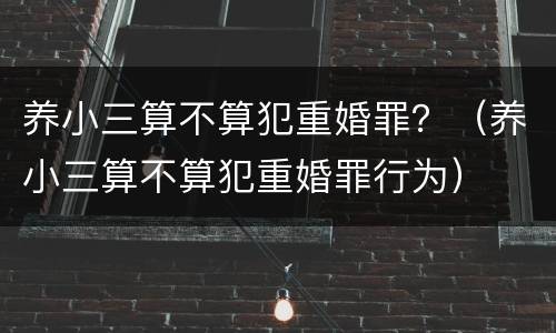 养小三算不算犯重婚罪？（养小三算不算犯重婚罪行为）
