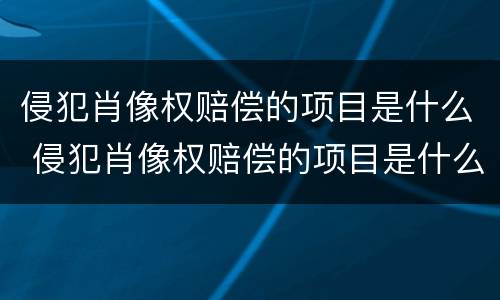 侵犯肖像权赔偿的项目是什么 侵犯肖像权赔偿的项目是什么意思