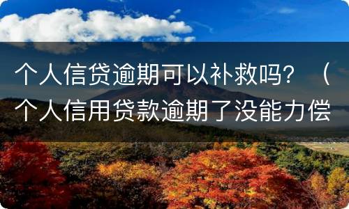 个人信贷逾期可以补救吗？（个人信用贷款逾期了没能力偿还怎么办）