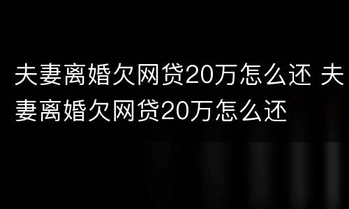 夫妻离婚欠网贷20万怎么还 夫妻离婚欠网贷20万怎么还