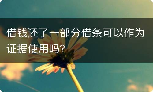 借钱还了一部分借条可以作为证据使用吗？
