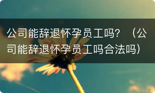 公司能辞退怀孕员工吗?(公司能辞退怀孕员工吗合法吗) 公司能辞退怀孕员工吗?(公司能辞退怀孕员工吗合法吗)