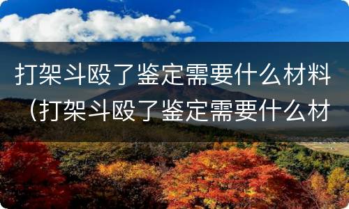 打架斗殴了鉴定需要什么材料（打架斗殴了鉴定需要什么材料呢）