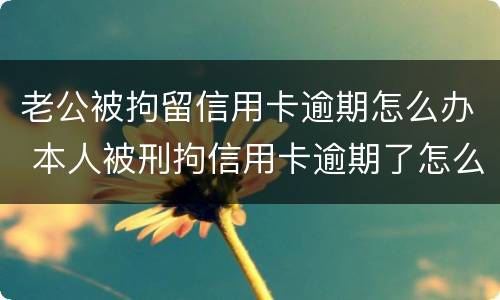 老公被拘留信用卡逾期怎么办 本人被刑拘信用卡逾期了怎么办