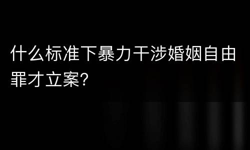 什么标准下暴力干涉婚姻自由罪才立案？