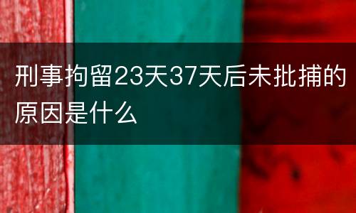 刑事拘留23天37天后未批捕的原因是什么