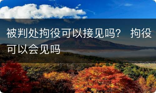 被判处拘役可以接见吗？ 拘役可以会见吗