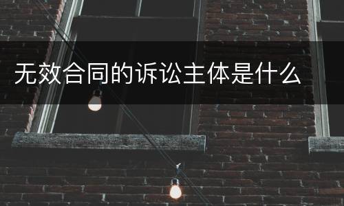 无效合同的诉讼主体是什么