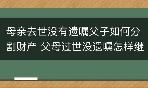 母亲去世没有遗嘱父子如何分割财产 父母过世没遗嘱怎样继承