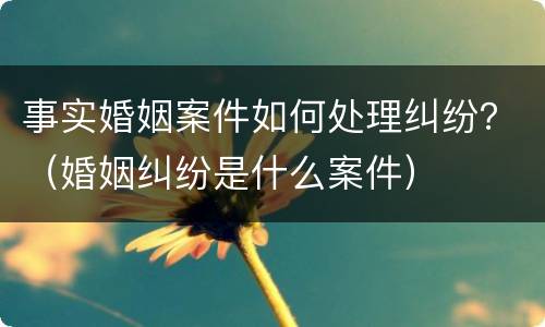 事实婚姻案件如何处理纠纷？（婚姻纠纷是什么案件）