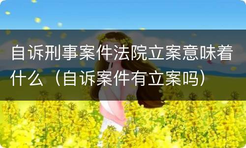 自诉刑事案件法院立案意味着什么（自诉案件有立案吗）