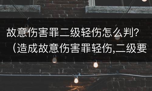 故意伤害罪二级轻伤怎么判？（造成故意伤害罪轻伤,二级要怎么判）