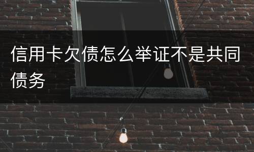 信用卡欠债怎么举证不是共同债务