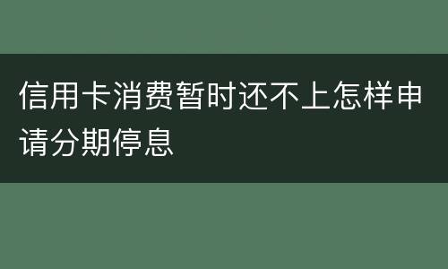 信用卡消费暂时还不上怎样申请分期停息