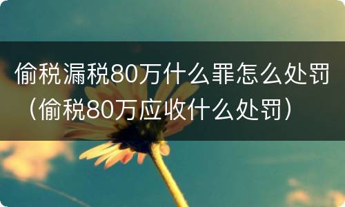 偷税漏税80万什么罪怎么处罚（偷税80万应收什么处罚）