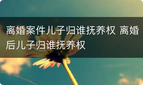离婚案件儿子归谁抚养权 离婚后儿子归谁抚养权