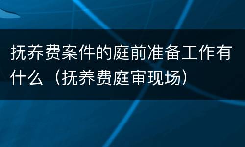 抚养费案件的庭前准备工作有什么（抚养费庭审现场）