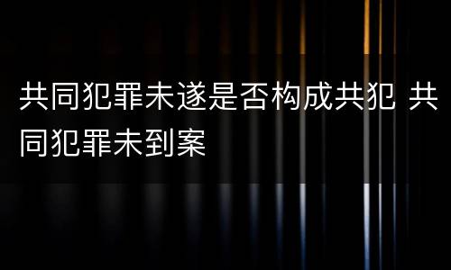 共同犯罪未遂是否构成共犯 共同犯罪未到案