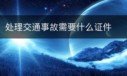 处理交通事故需要什么证件