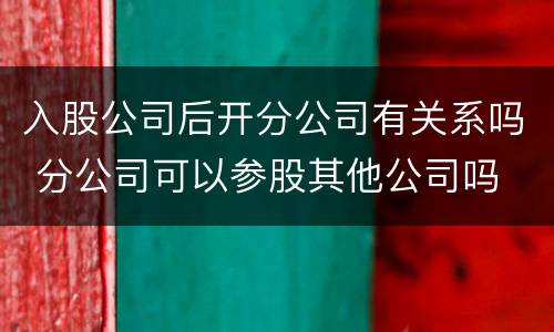 入股公司后开分公司有关系吗 分公司可以参股其他公司吗