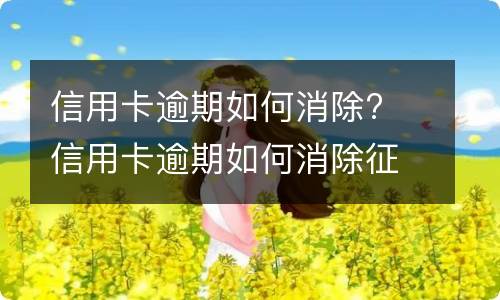 返聘没有劳动关系也能享有工伤待遇吗
