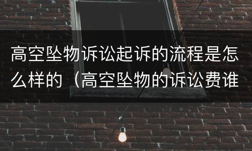 高空坠物诉讼起诉的流程是怎么样的（高空坠物的诉讼费谁来承担）
