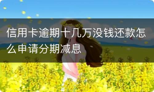 信用卡逾期十几万没钱还款怎么申请分期减息