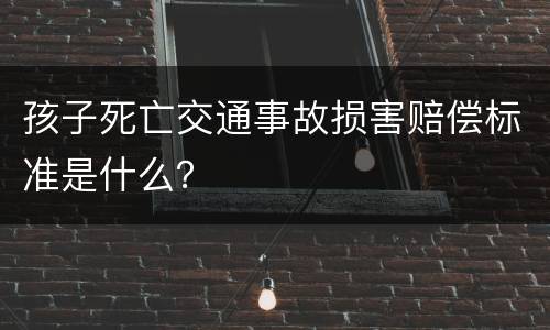 孩子死亡交通事故损害赔偿标准是什么？
