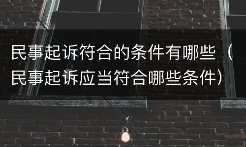 民事起诉符合的条件有哪些（民事起诉应当符合哪些条件）