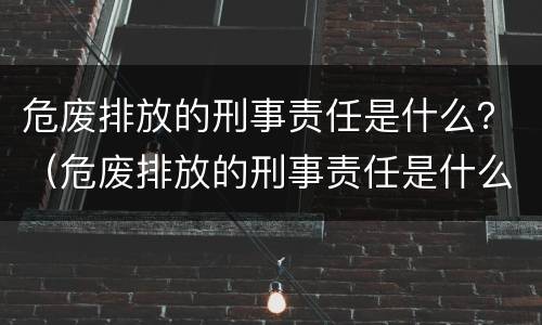 危废排放的刑事责任是什么？（危废排放的刑事责任是什么）