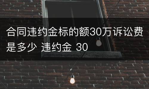 合同违约金标的额30万诉讼费是多少 违约金 30