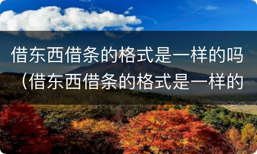 借东西借条的格式是一样的吗（借东西借条的格式是一样的吗怎么写）